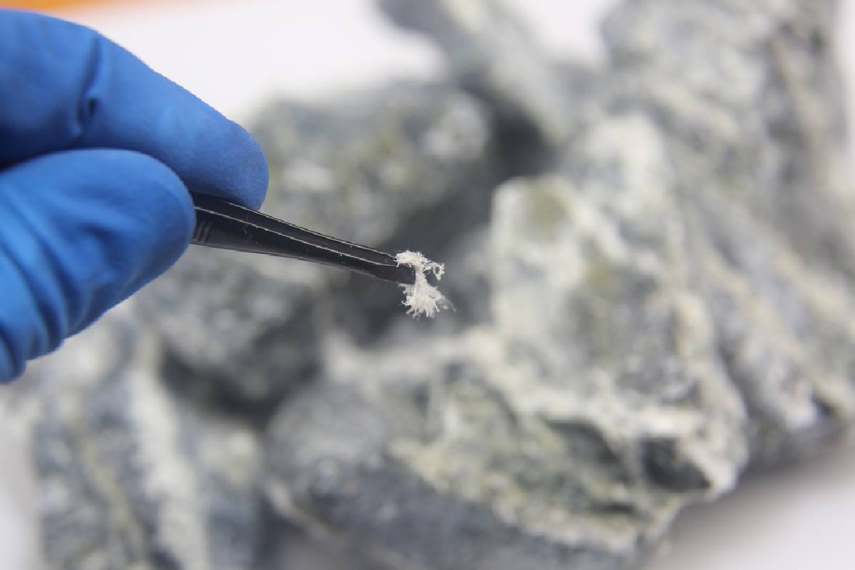 Accurate Asbestos Reports in Watford